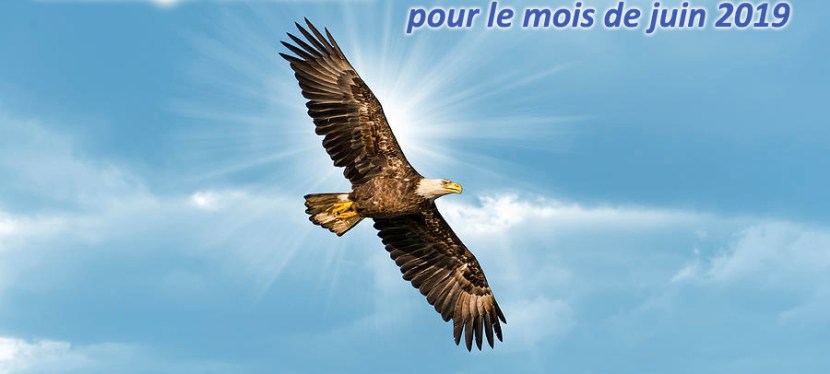 L’énergie de la Confiance du&nbsp;Cœur